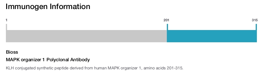 MAPK organizer 1 Polyclonal Antibody