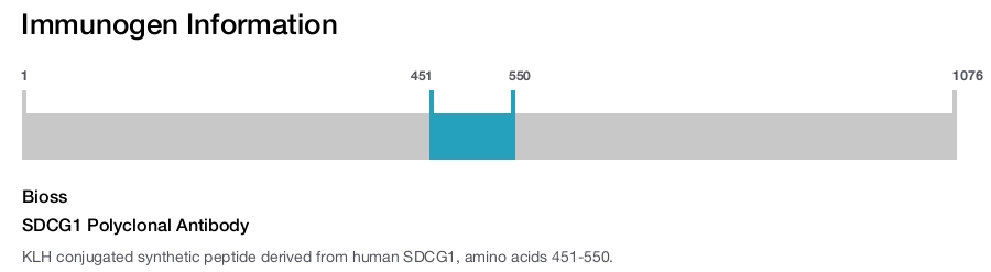 SDCG1 Polyclonal Antibody