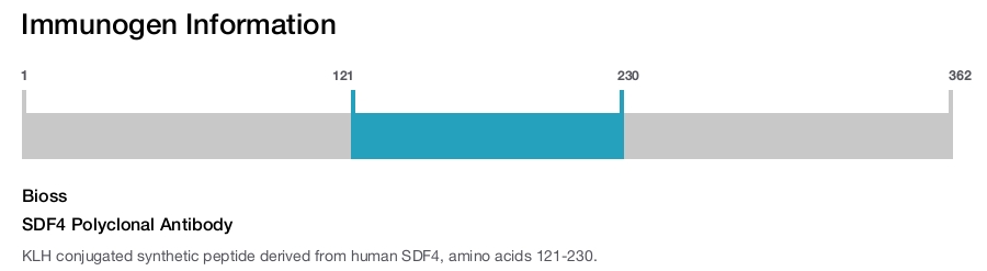 SDF4 Polyclonal Antibody