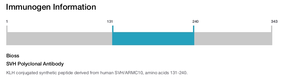 SVH Polyclonal Antibody