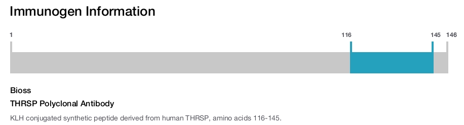 THRSP Polyclonal Antibody