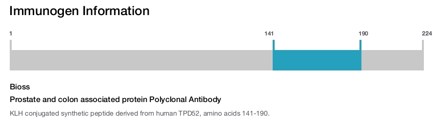 Prostate and colon associated protein Polyclonal Antibody