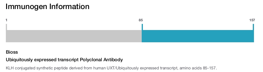 Ubiquitously expressed transcript Polyclonal Antibody