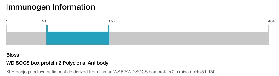 WD SOCS box protein 2 Polyclonal Antibody