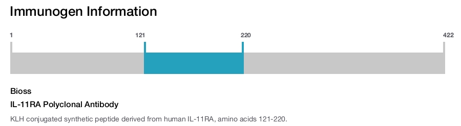 IL-11RA Polyclonal Antibody