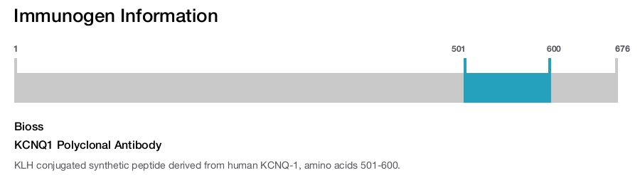 KCNQ1 Polyclonal Antibody