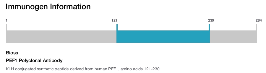 PEF1 Polyclonal Antibody