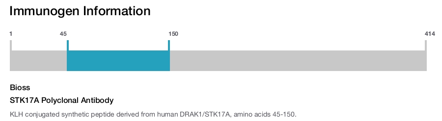 STK17A Polyclonal Antibody