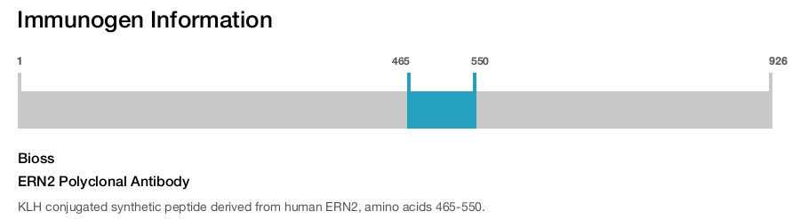 ERN2 Polyclonal Antibody