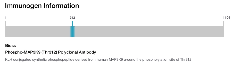 Phospho-MAP3K9 (Thr312) Polyclonal Antibody