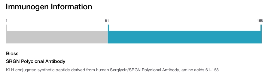SRGN Polyclonal Antibody