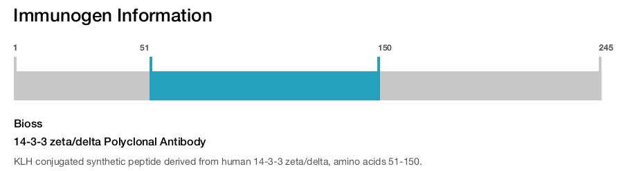 14-3-3 zeta/delta Polyclonal Antibody