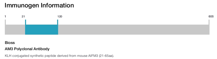 AM3 Polyclonal Antibody