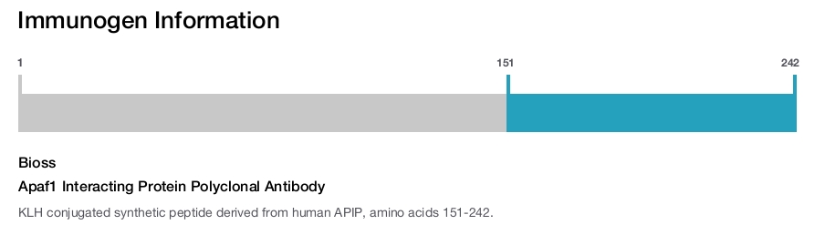 Apaf1 Interacting Protein Polyclonal Antibody