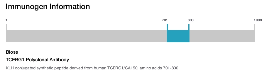 TCERG1 Polyclonal Antibody