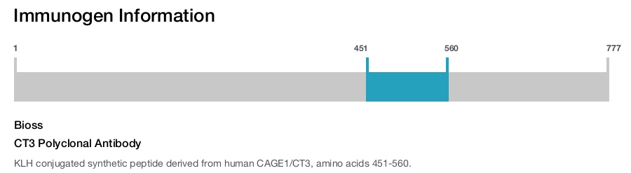 CT3 Polyclonal Antibody