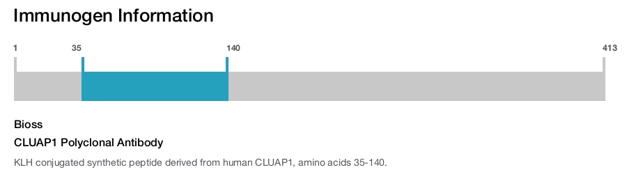 CLUAP1 Polyclonal Antibody