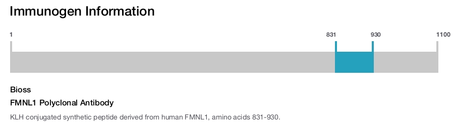 FMNL1 Polyclonal Antibody