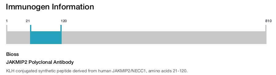 JAKMIP2 Polyclonal Antibody