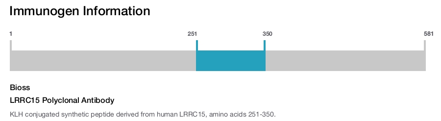 LRRC15 Polyclonal Antibody