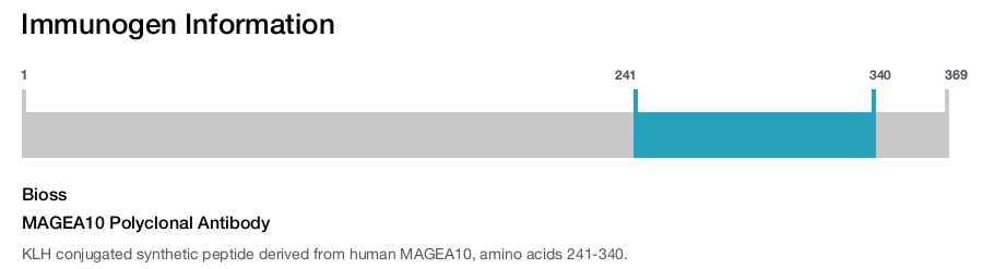 MAGEA10 Polyclonal Antibody