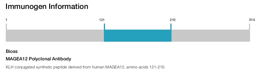 MAGEA12 Polyclonal Antibody