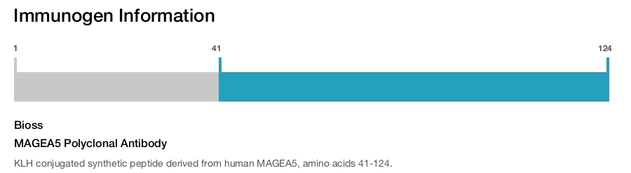 MAGEA5 Polyclonal Antibody
