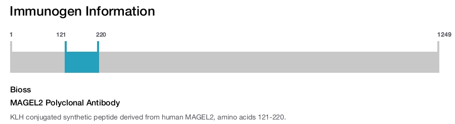 MAGEL2 Polyclonal Antibody