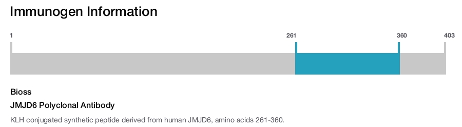 JMJD6 Polyclonal Antibody