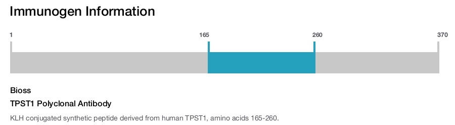 TPST1 Polyclonal Antibody