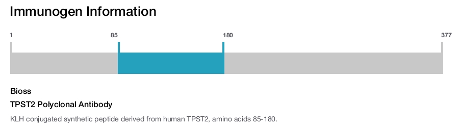 TPST2 Polyclonal Antibody