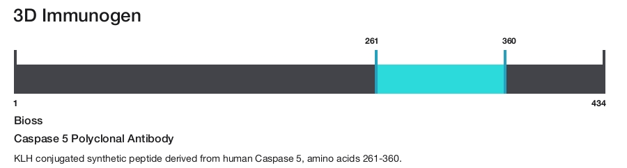 Caspase 5 Polyclonal Antibody
