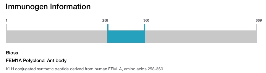 FEM1A Polyclonal Antibody