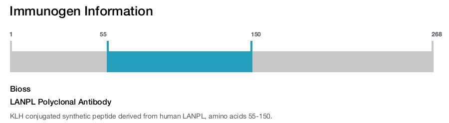 LANPL Polyclonal Antibody