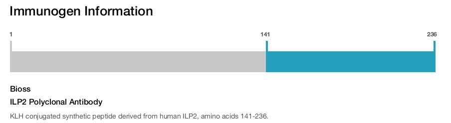 ILP2 Polyclonal Antibody