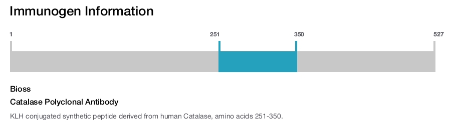 Catalase Polyclonal Antibody
