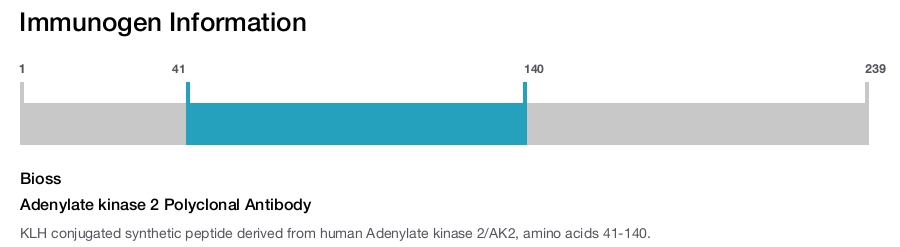 Adenylate kinase 2 Polyclonal Antibody