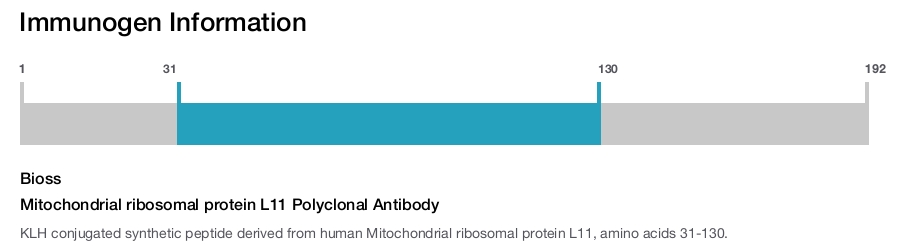 Mitochondrial ribosomal protein L11 Polyclonal Antibody