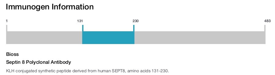 Septin 8 Polyclonal Antibody