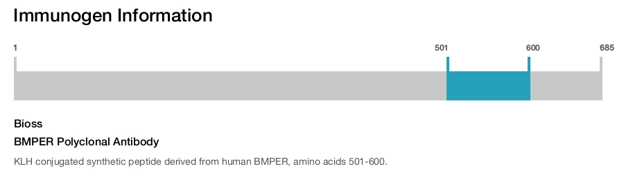 BMPER Polyclonal Antibody
