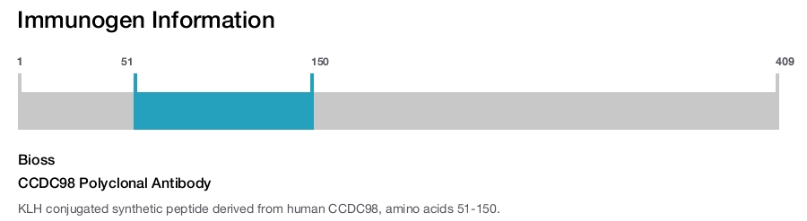 CCDC98 Polyclonal Antibody
