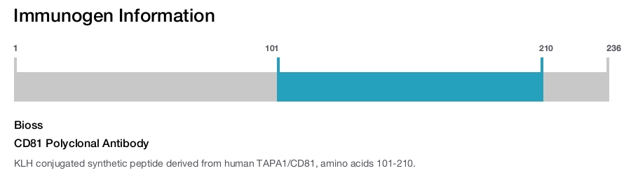 CD81 Polyclonal Antibody