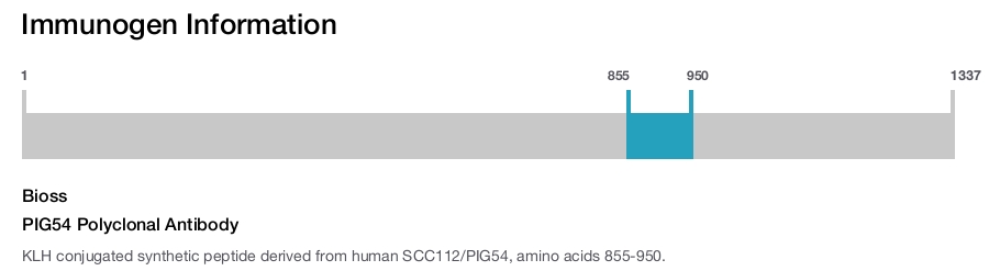 PIG54 Polyclonal Antibody