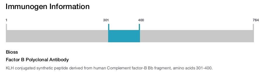 Factor B Polyclonal Antibody