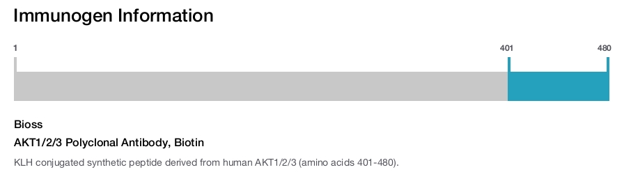 AKT1/2/3 Polyclonal Antibody, Biotin