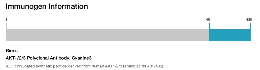 AKT1/2/3 Polyclonal Antibody, Cyanine3