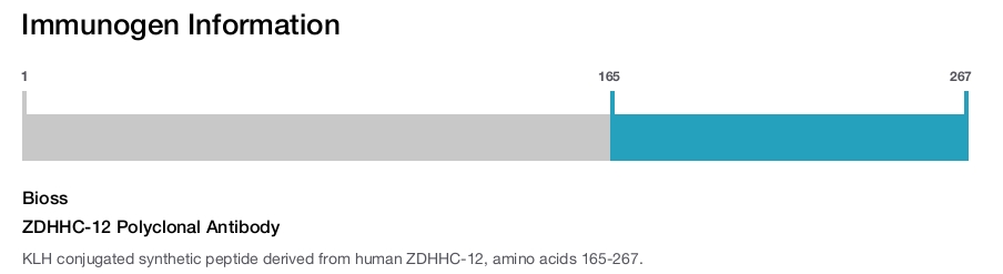 ZDHHC-12 Polyclonal Antibody