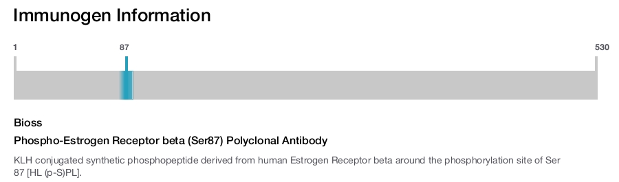 Phospho-Estrogen Receptor beta (Ser87) Polyclonal Antibody