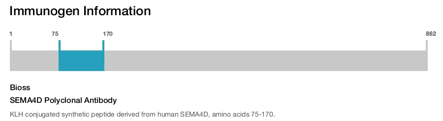 SEMA4D Polyclonal Antibody