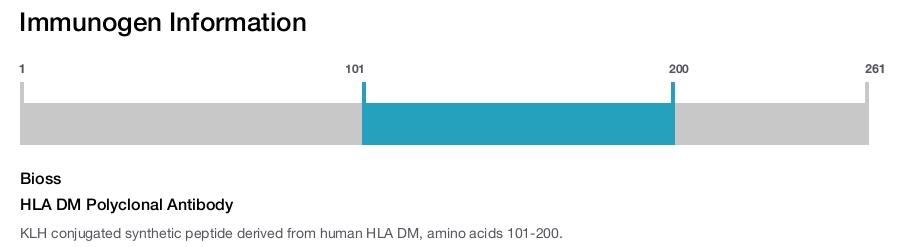 HLA DM Polyclonal Antibody
